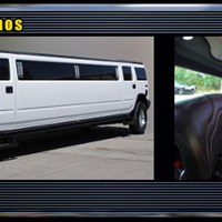 alllimoservice's Portfolio